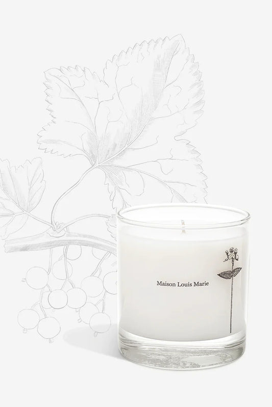 Antidris Cassis | 8.5 oz Candle